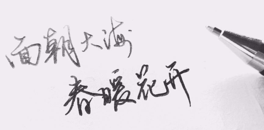 海子為什么臥軌 (臥軌是什么意思啊)