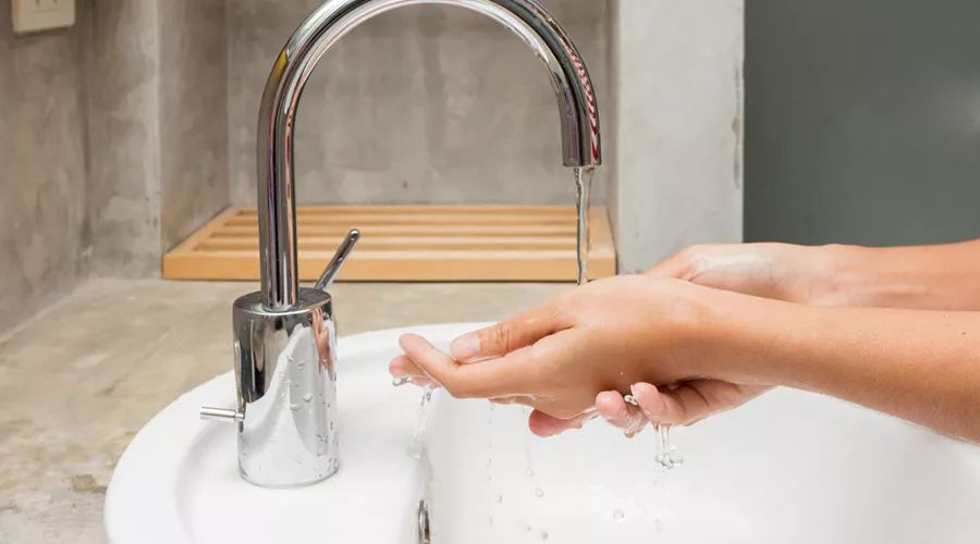 貓抓傷的死亡率為零(貓抓傷得狂犬病的幾率)