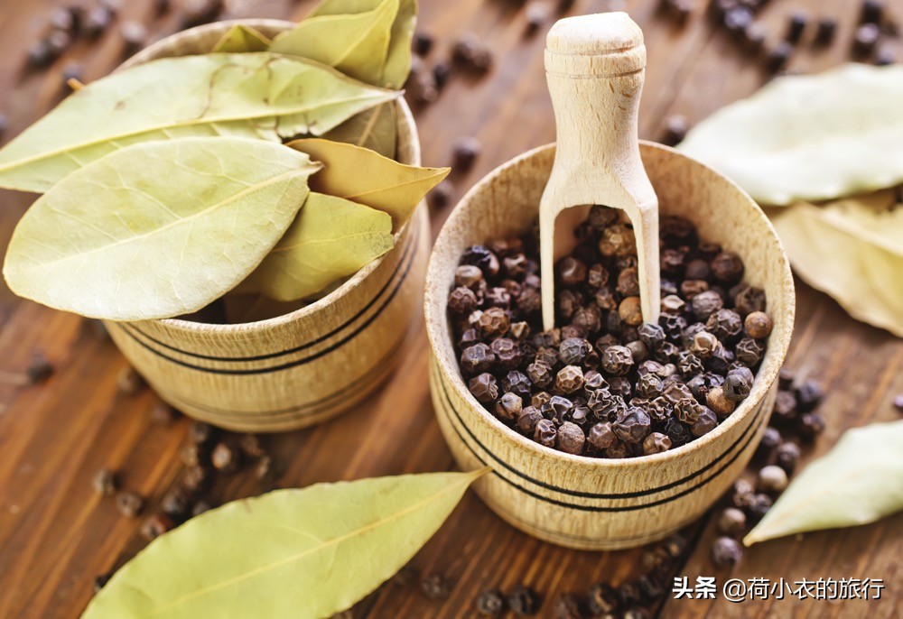 為什么北方人不去廣東(為什么東北人很少在廣東)