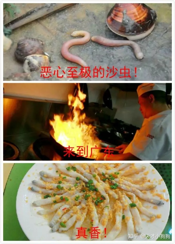 廣東人喜歡吃什么（惡心的廣東人什么都吃）