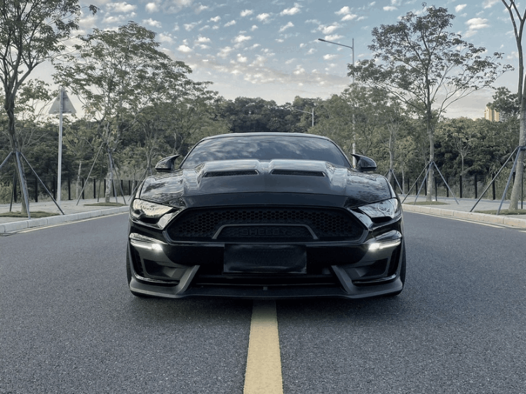 福特野馬黑武士多少錢(qián)一輛(黑武士野馬圖片及價(jià)格)