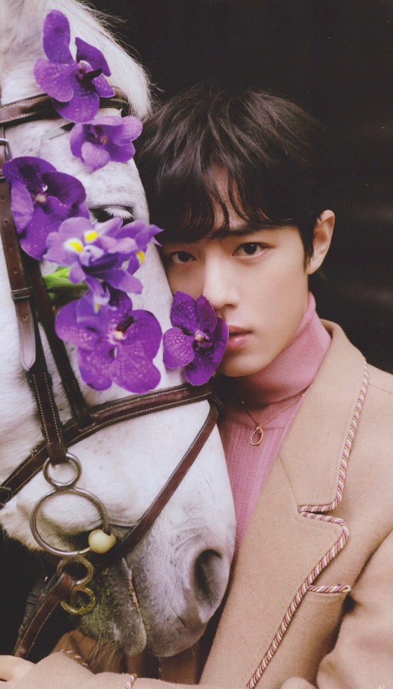 肖戰為什么被全網黑 (肖戰的手為什么這么黑)