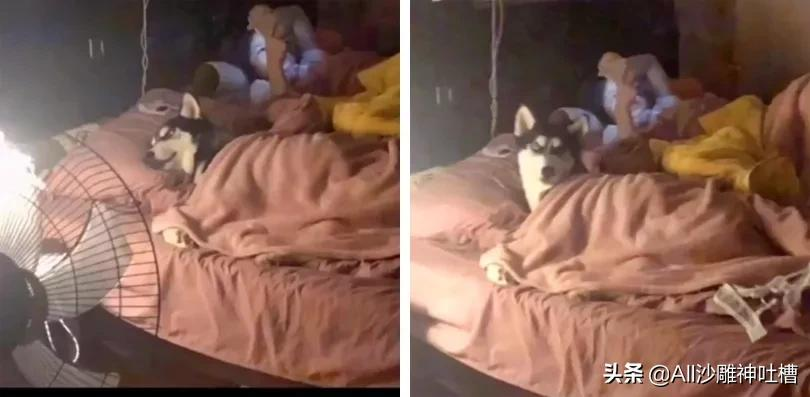 充電什么意思 男生說充電是什么梗