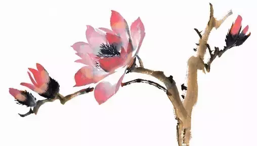 中華常用成語大全，學(xué)以致用便可出口成章