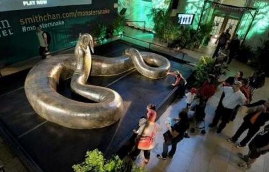 世界上最大的動(dòng)物(世界上最大的動(dòng)物是哪一種)