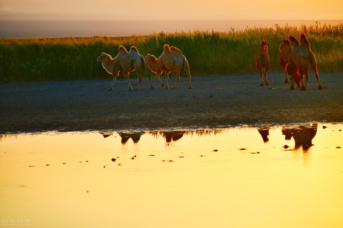 新疆湖泊排名（新疆的湖泊有哪些）