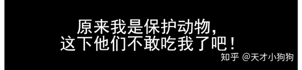 廣東人喜歡吃什么（惡心的廣東人什么都吃）
