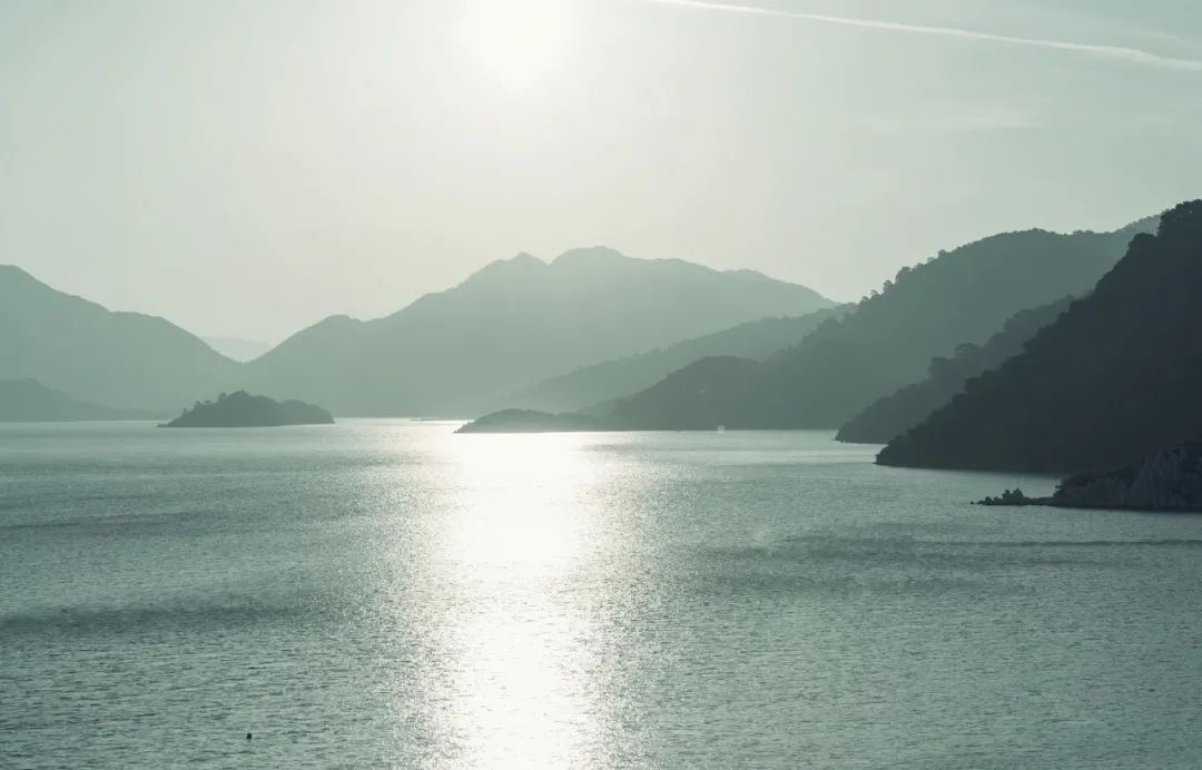 莊子的名言名句(莊子的經典語錄)