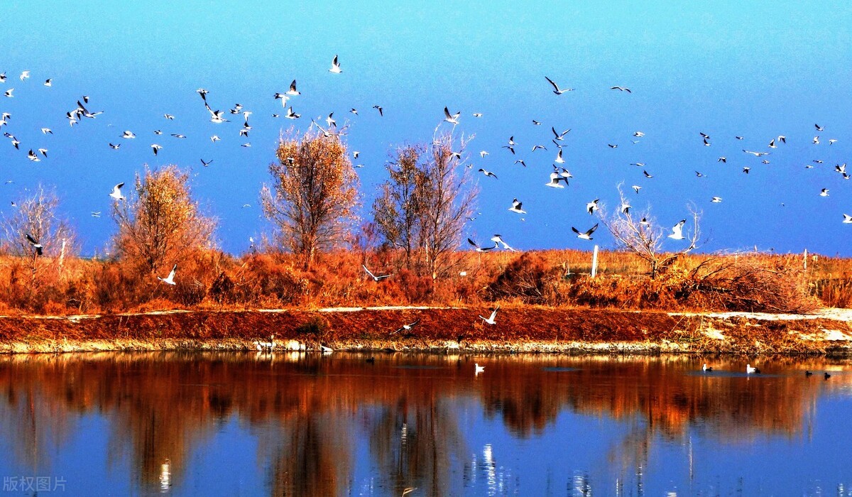 新疆湖泊排名（新疆的湖泊有哪些）