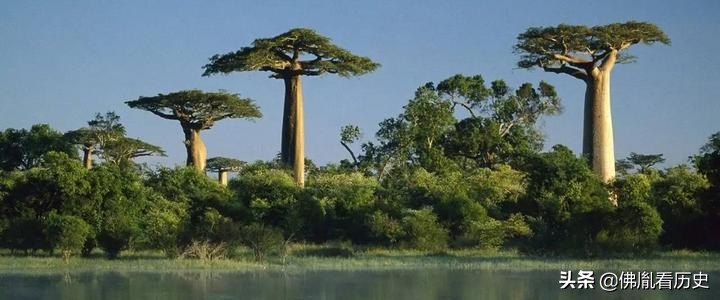 世界十大弱國（世界上最窮的十個國家）