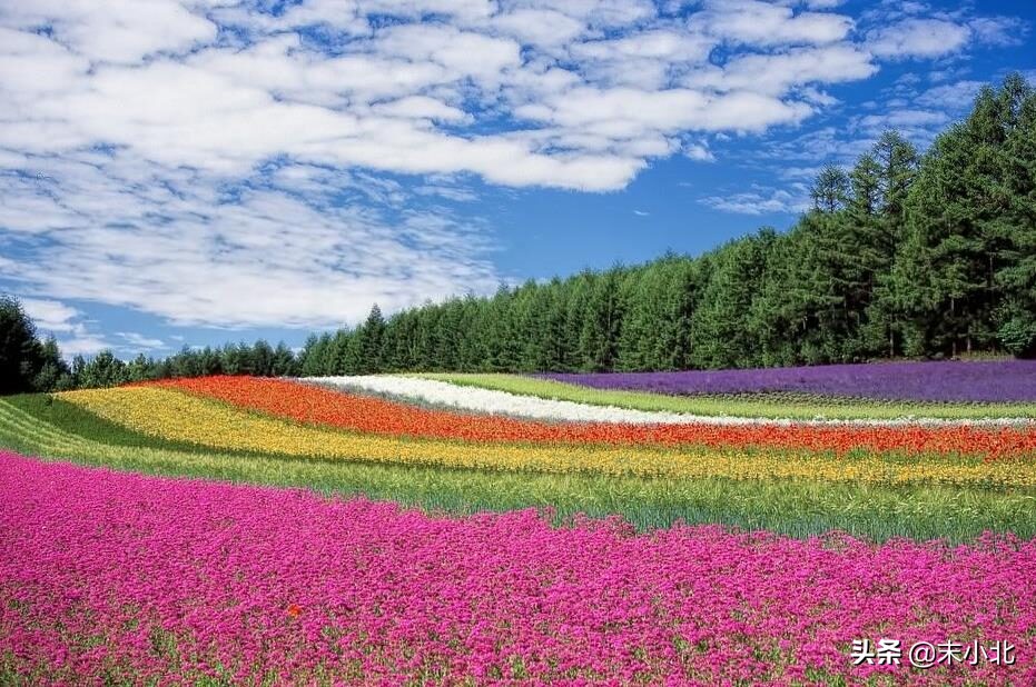 為什么你背著我愛別人 (為什么你背著我愛別人什么意思)