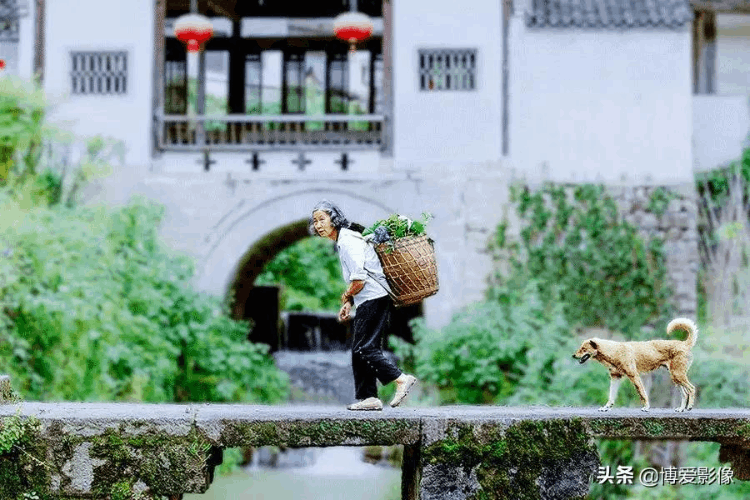 清明節為什么要掃墓 (清明節掃墓的由來和意義)