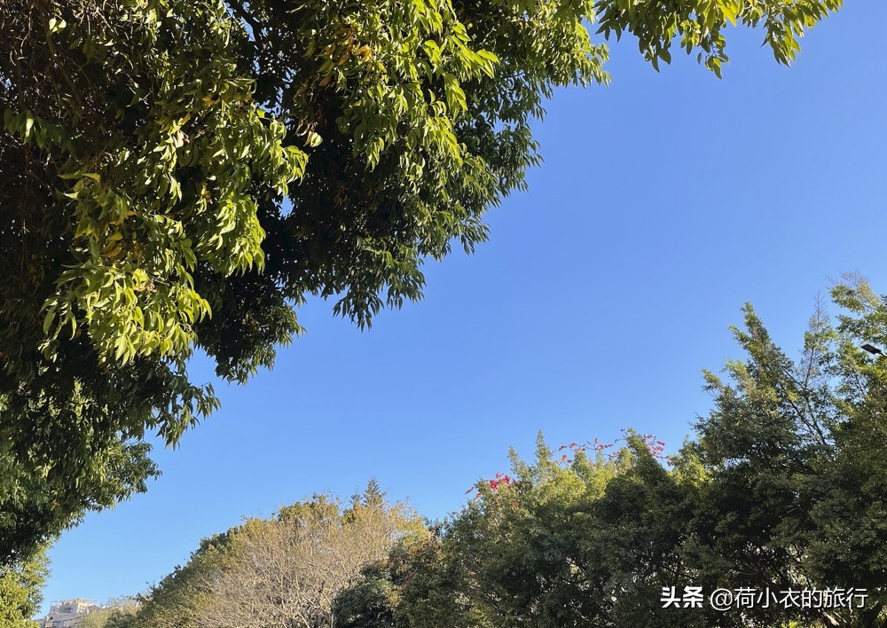 為什么北方人不去廣東(為什么東北人很少在廣東)