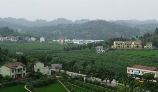 四川安岳縣屬于哪個市(安岳屬于內江還是資陽)