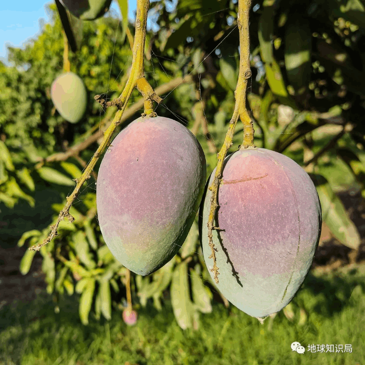 巴基斯坦什么時候建國(巴基斯坦有多少年歷史了)