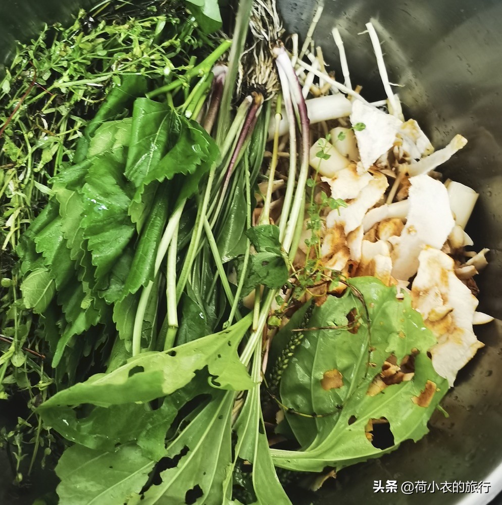 為什么北方人不去廣東(為什么東北人很少在廣東)