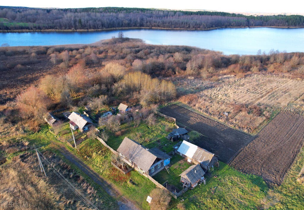糧補什么時候開始發放（農村糧食補貼幾月發）