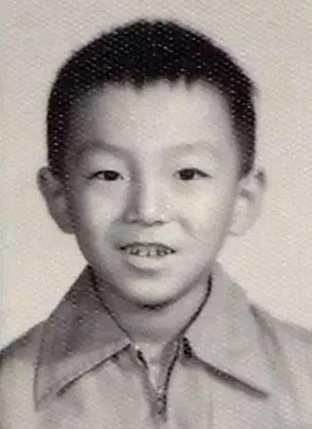 黃渤和林志玲的關系（黃渤林志玲為什么沒在一起）