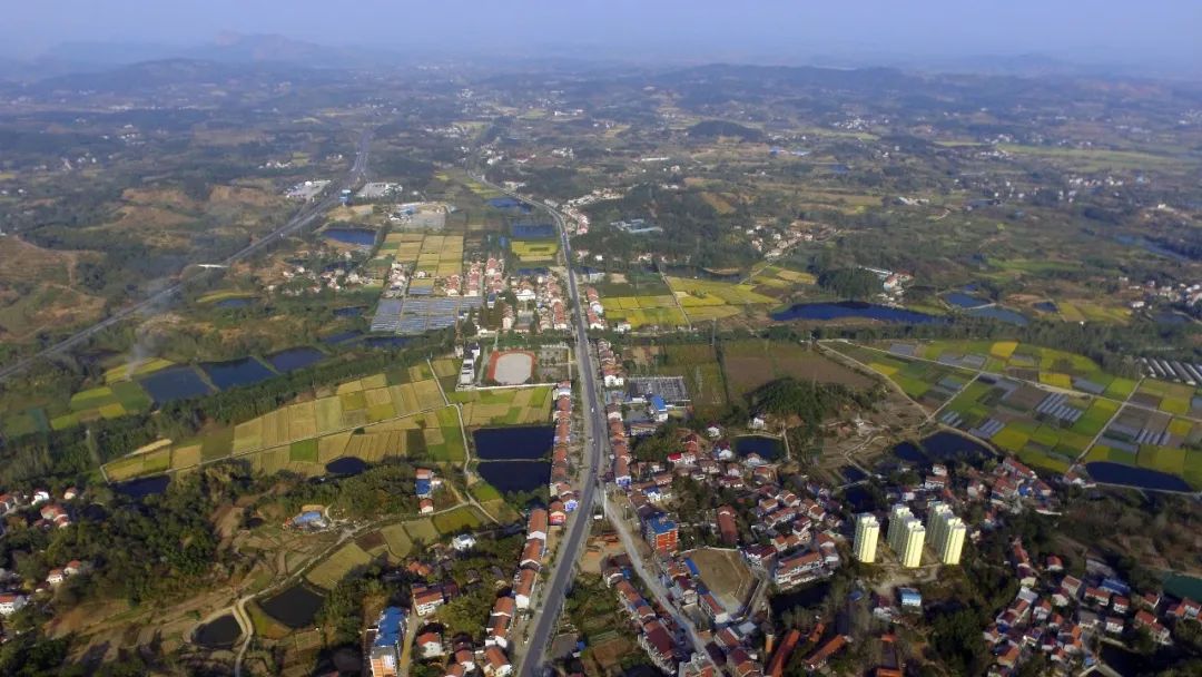 江州市屬于哪個省