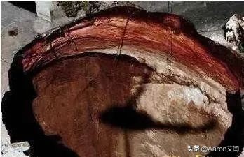 世界十大奇異事故(世界奇異事件未解之謎)