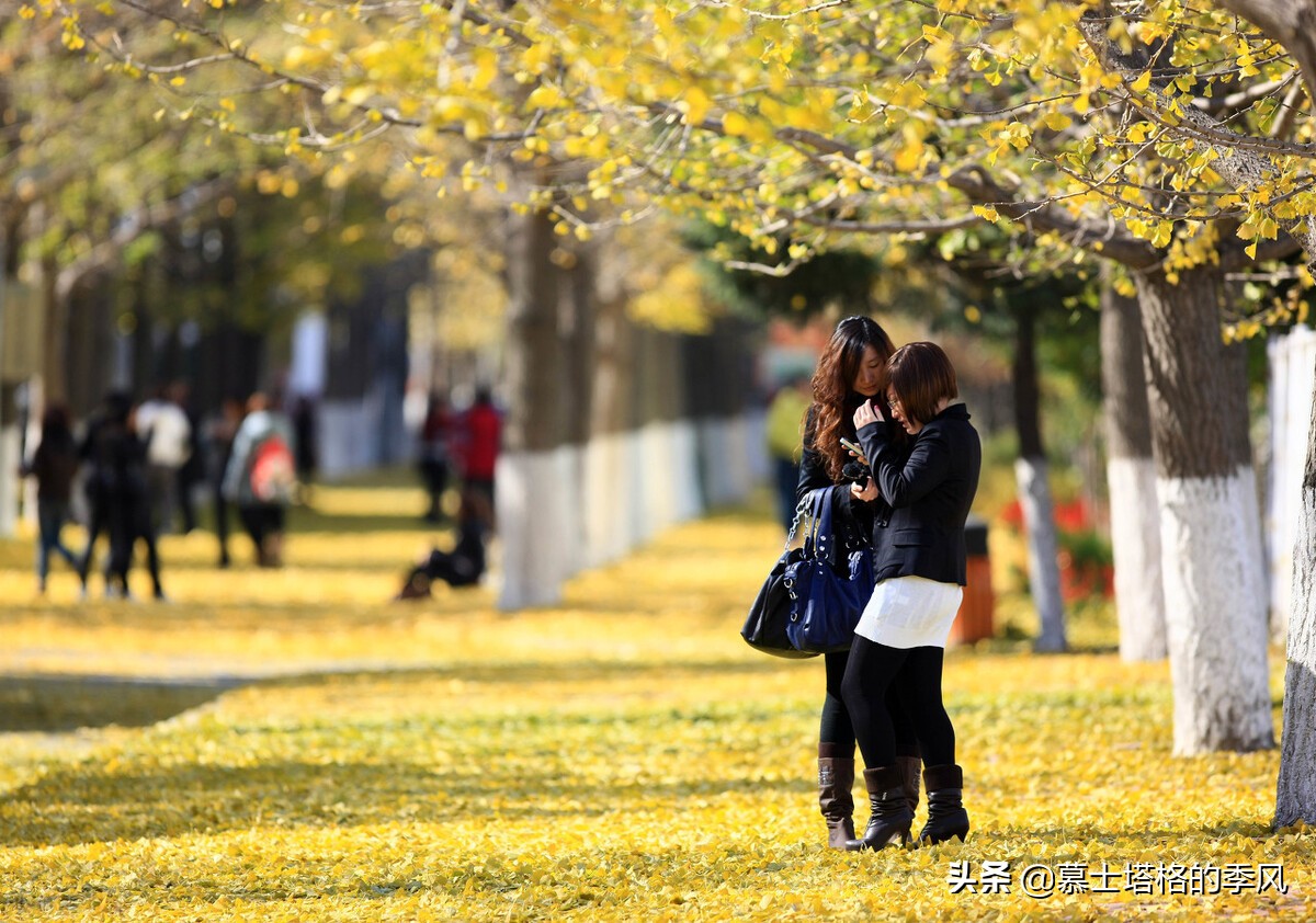 中國氣候最佳的八個城市（中國哪里宜居不熱不冷不潮濕）