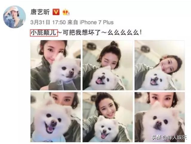 張若昀的親娘是誰(演員張若昀的家世)