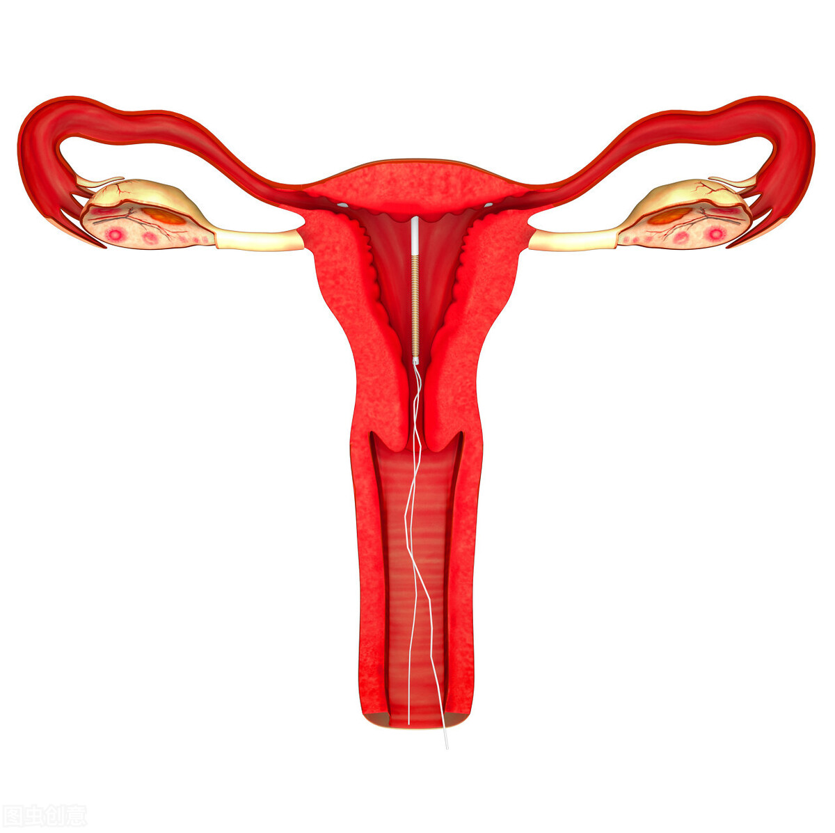 女性避孕的最佳9種方式(女性避孕的最佳方式)