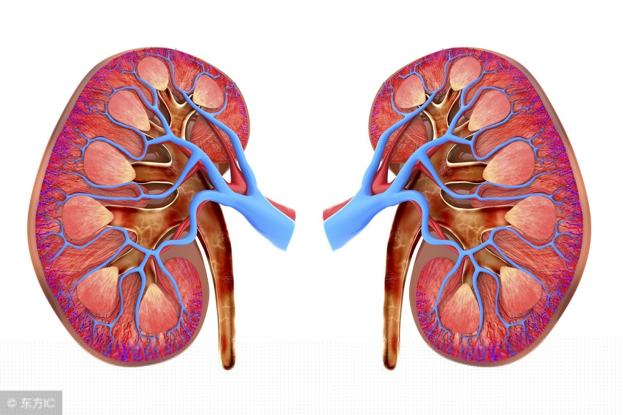 低鉀到晚上就癥狀明顯(一般什么人容易缺鉀)