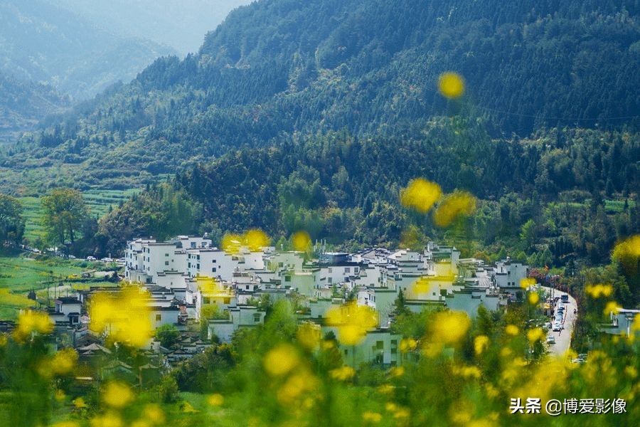 清明節為什么要掃墓 (清明節掃墓的由來和意義)