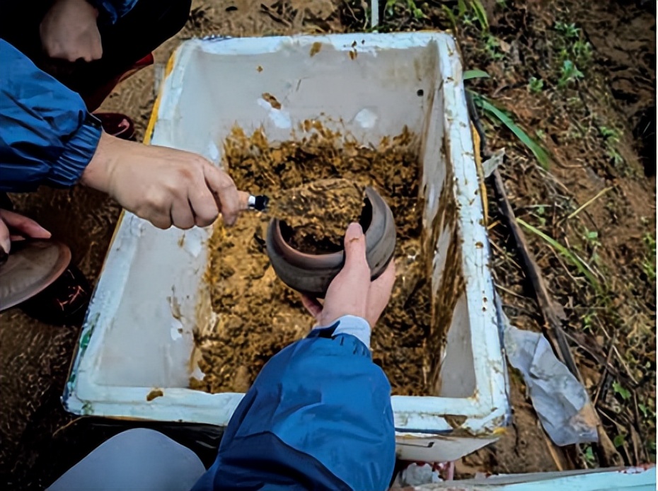 “3·21”東航MU5735墜機祭