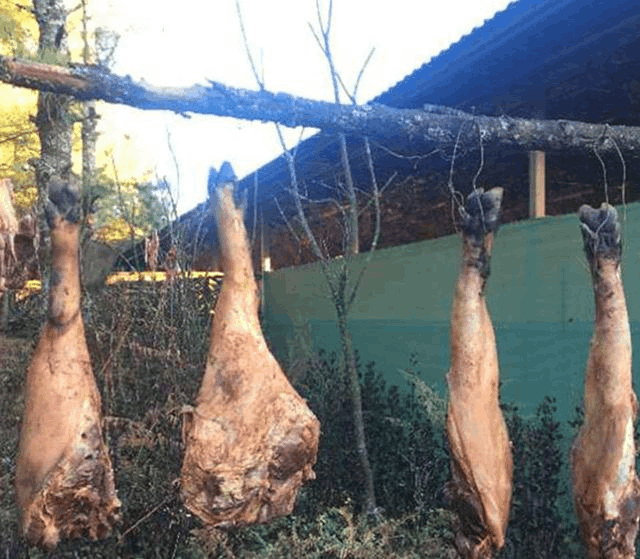 經歷過疫情才懂，這10種保質期超長的食材，可不能隨便扔掉了