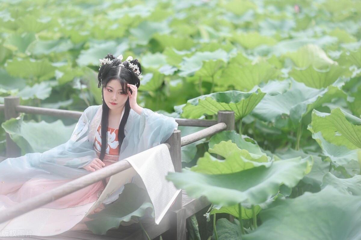 比較驚艷的古風(fēng)疊字(精選6首疊字古詩(shī)詞)