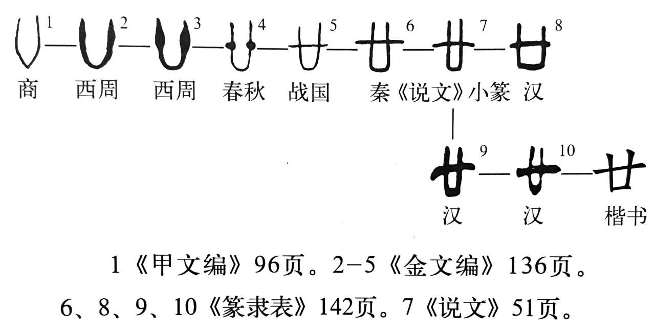 《說文解字》第378課：古人怎樣創(chuàng)造了“廿、卅、卌”這些字？