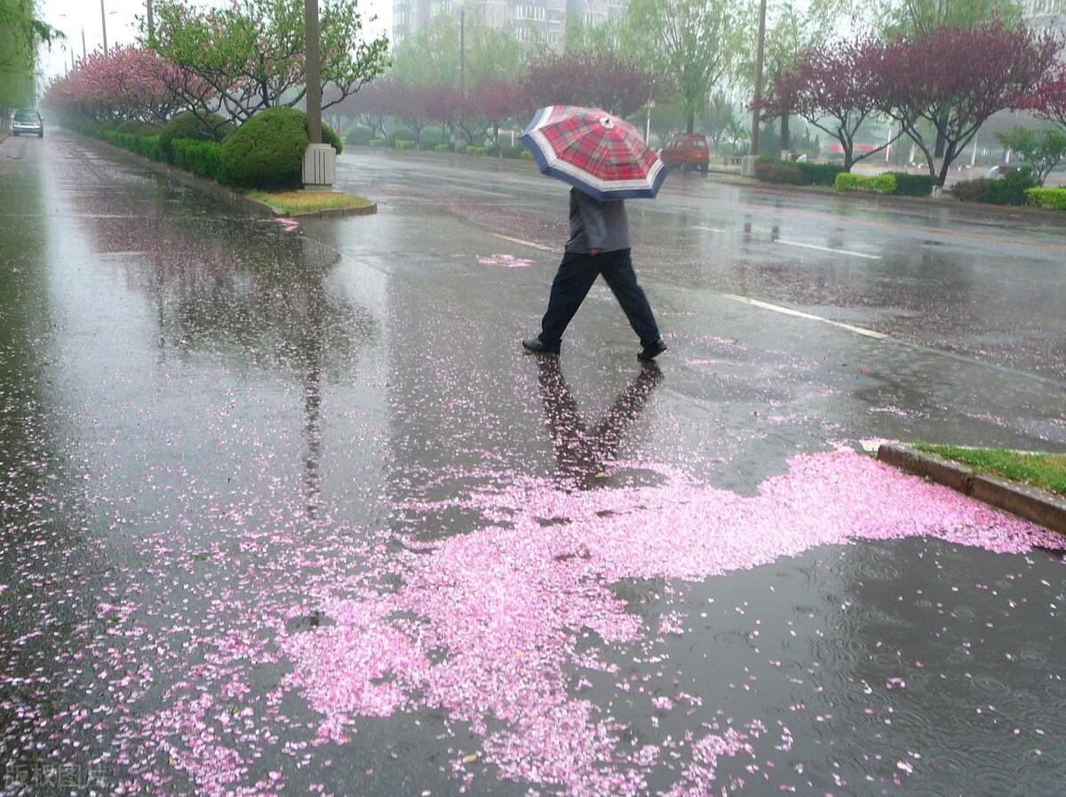 熱文千里不同風百里不同俗什么意思(千里不同風百里不同俗的意思)