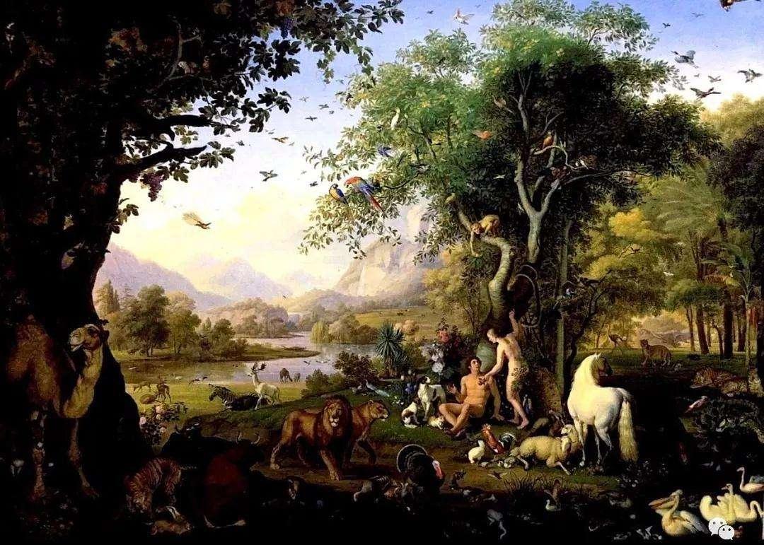 熱文災難的典故和意義到底是什么(災難的典故和意義)