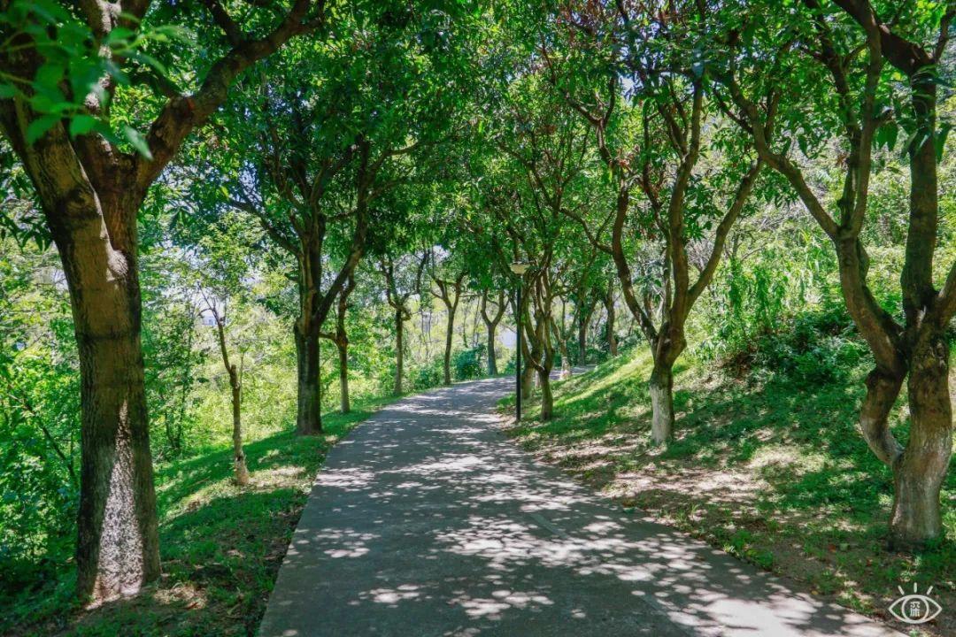 深圳哪里好玩(深圳必須去的50個地方)