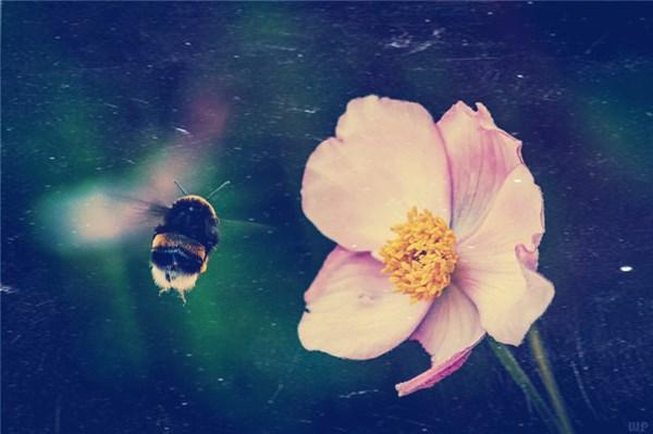 人生感悟的句子 現實又很扎心的句子