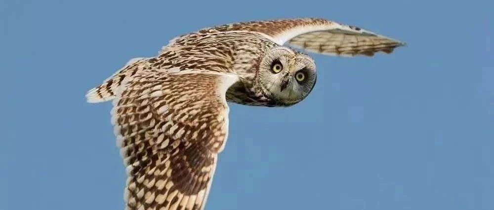 預付卡管理辦法 設備管理十句口訣