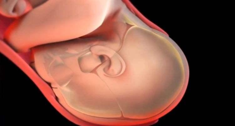 開指快慢和什么有關(開指快慢跟什么有關)