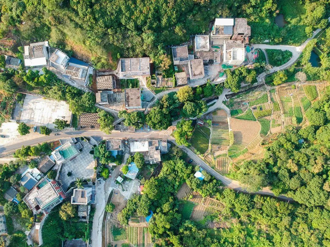 深圳地鐵線路圖 深圳地鐵2022年線路圖