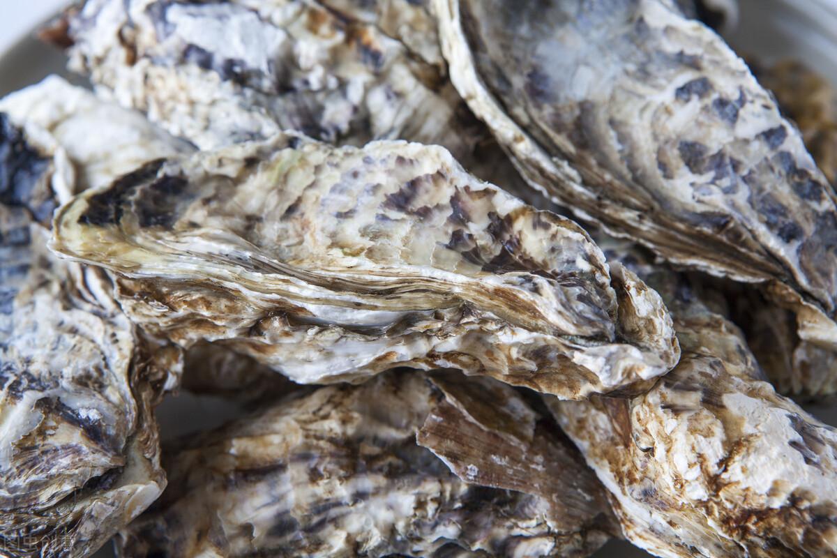 生蠔怎么清洗內臟圖解(生蠔怎么清洗內臟圖解蠔)