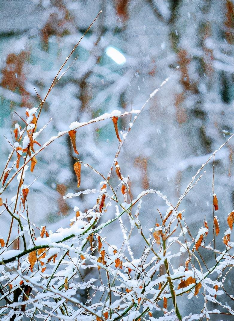 熱文2021立冬節(jié)氣的古詩(shī)有哪些(2021立冬節(jié)氣的古詩(shī))