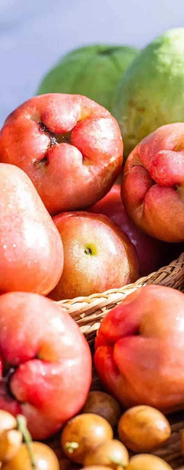 三亞特產(chǎn)(三亞特產(chǎn)哪里買便宜又好)