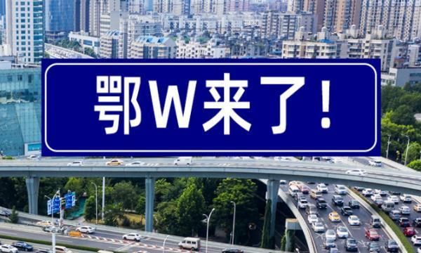 熱文w3的意思(w3是什么意思)