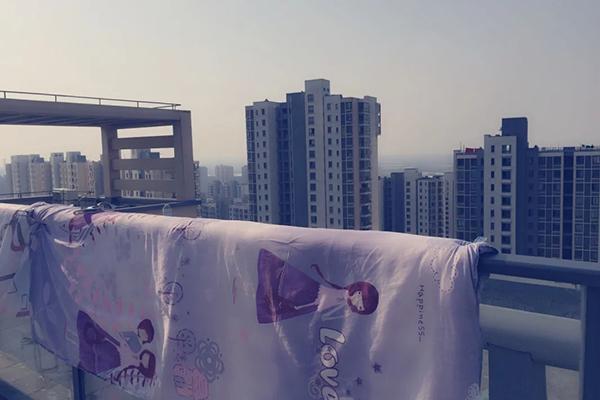 陰虱簡單介紹(陰虱在床單上能活多久)