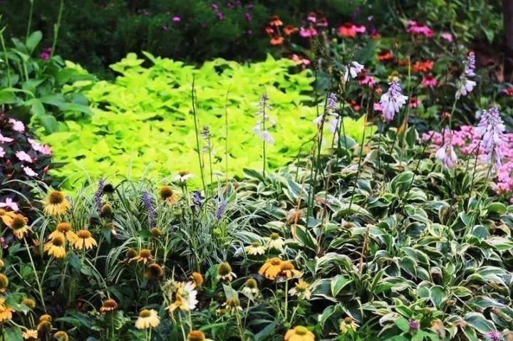 密云旅游景點大全 密云區自駕免費景點