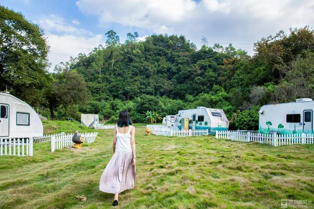 深圳地鐵線路圖 深圳地鐵2022年線路圖