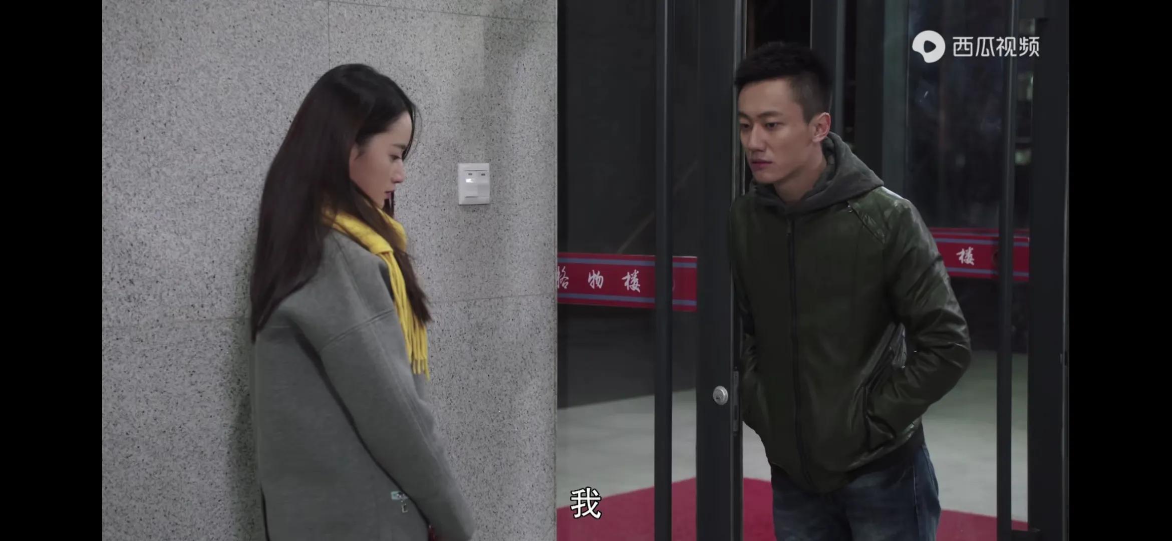 一樹桃花開電視劇簡介(一樹桃花開演員表)