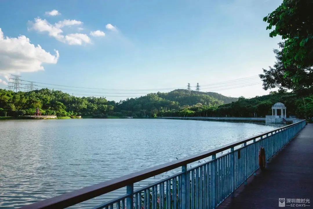 深圳地鐵線路圖 深圳地鐵2022年線路圖