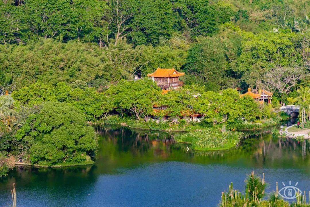 深圳哪里好玩(深圳必須去的50個地方)